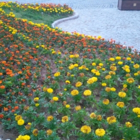 emrah8252