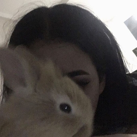babapiroyastik