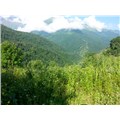 Davala