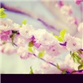 handem6565