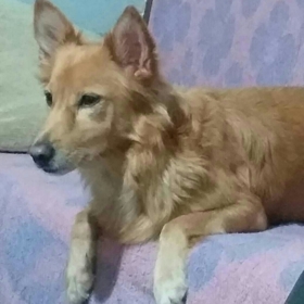 thumperr