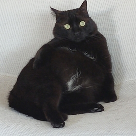 Melvinton