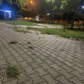 biyologladın