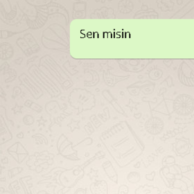 aydınlı4566