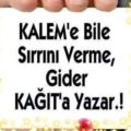 cınar8080