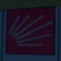 Gozgozugormezbisis