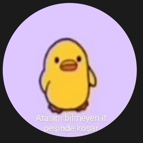 NİHİLİSTÖRDEK