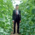 hakann42