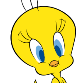 KırkoluTweety