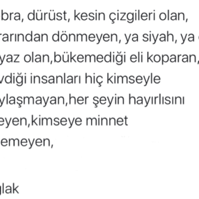 batuhann006
