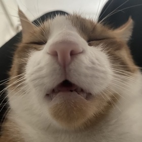 Blobmar