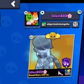 Pirobrawlstarsgirl