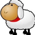 QuZuShop