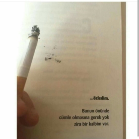 ercanxxx