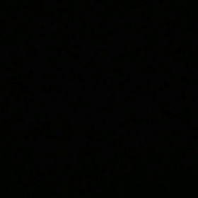 Hanzoyummm