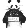 xPandax