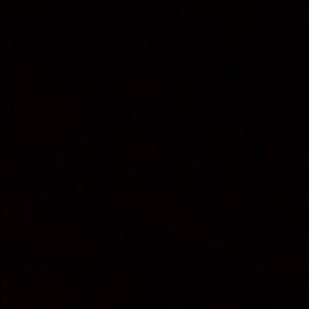 BayAnonimm