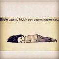 kokoş18