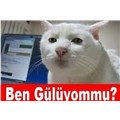 OoO_KENE_OoO
