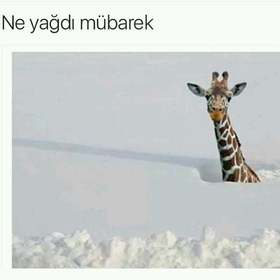 BeyazMamba