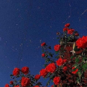 anıyaşabenimle