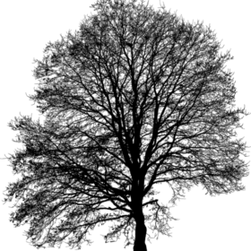 mervekaya48