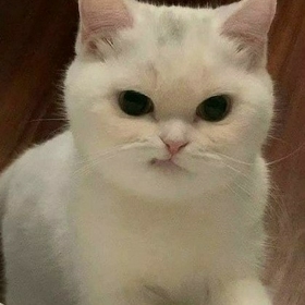 mutsuzkedyyyy