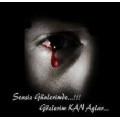 acemi-aşık