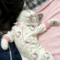 Beyza_416