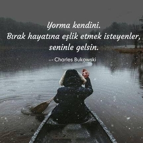 laviniaa1111