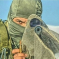 Muhammedrr