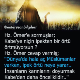 papatya1227