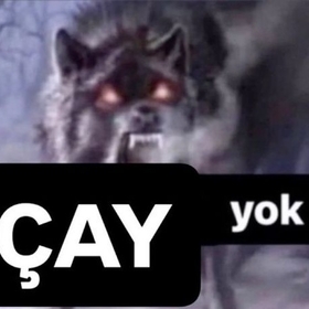 nvjvbbcn