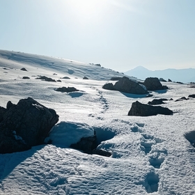 isocan007