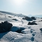 isocan007