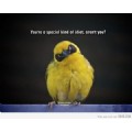 asdfg7