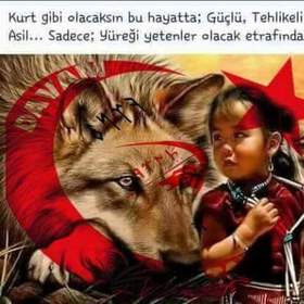 Beklicez33