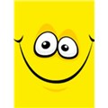 excilo
