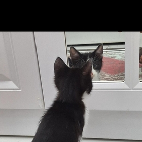 Herşeyibilenadam014