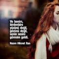 İrmaSteele