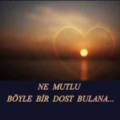 yunusdnz
