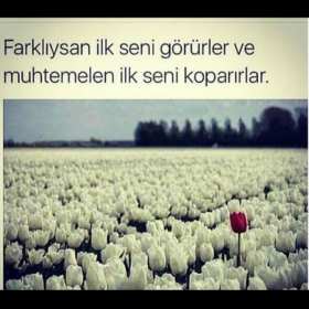 hayatsnsnsevgili