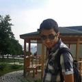 MusaFDN