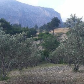 mustafa6576