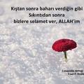 karaaaamelekk