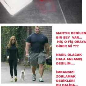 oortabacak