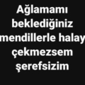 alev1011