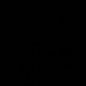 Black1night
