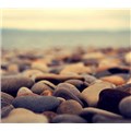 Yasemin95