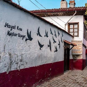 koreligenç